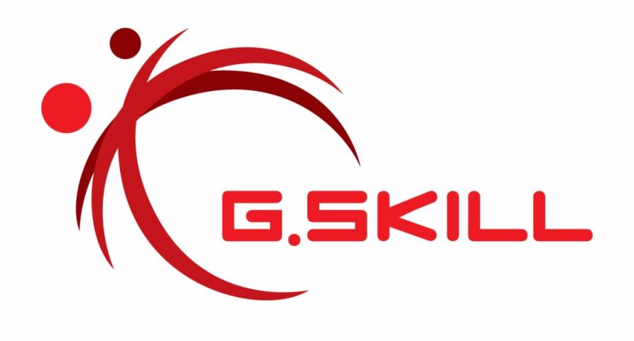 G.SKILL Flare X (for AMD) 16GB (2 x 8GB) 288-Pin PC RAM DDR4 2400 (PC4  19200) Memory (Desktop Memory) Model F4-2400C15D-16GFX 