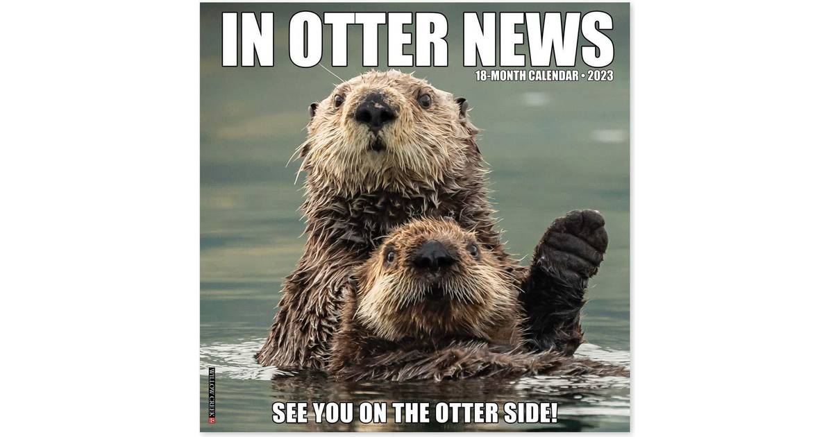 Willow Creek Press In Otter News 2023 Calendar Compare Prices Klarna US
