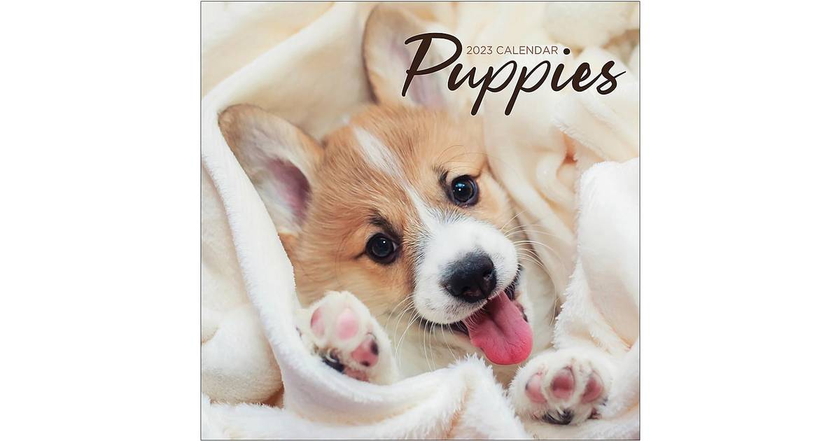 TF Publishing Puppies 2023 Mini Calendar • Prices