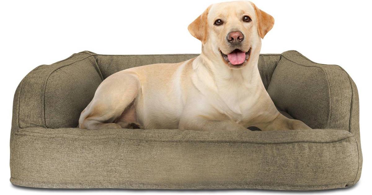 canine creations sofa bed