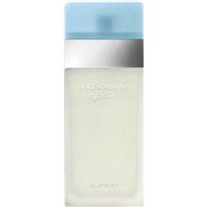 Dolce & Gabbana Dame Eau de Toilette Dolce & Gabbana Light Blue Women EdT 25ml