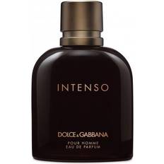 Dolce & Gabbana Herre Parfymer Dolce & Gabbana Intenso Pour Homme EdP 40ml