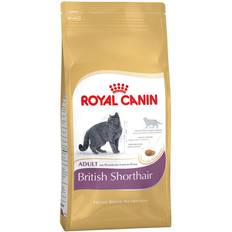 Royal Canin Katzen Haustiere Royal Canin British Shorthair Adult 4kg