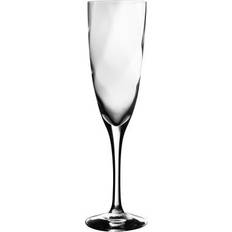 Transparent Champagneglass Kosta Boda Château Champagneglass 21cl