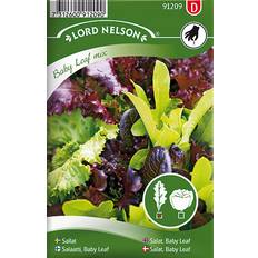 Nelson Garden Salat Baby Leaf Mix 800 pack
