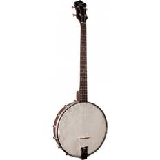 Banjos Recording King RKT-05