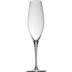 Rosenthal Champagne Glasses Rosenthal Fuga Champagne Glass 32cl