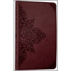 Holy Bible: English Standard Version (Paperback, 2010)