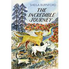 The Incredible Journey (Vintage Childrens Classics) (Heftet, 2013)