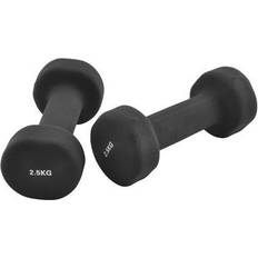 InShape Dumbbells Set 2x2.5kg