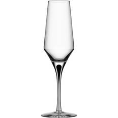 Orrefors Metropol Champagne Glass 27cl 2pcs