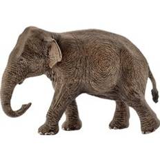 Elefanter Figurer Schleich Asian Elephant Cow 14753