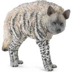 Collecta Striped Hyena 88566