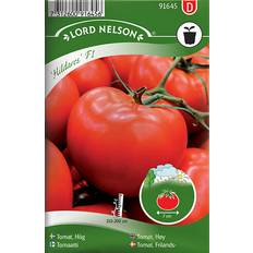 Grønnsaksfrø Nelson Garden Tomato High Hildares F1 6 pack