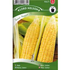 Selvvanning Potter, Planter & Dyrking Nelson Garden Corn Sugar Sweet Nugget F1 17 pack