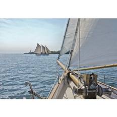 Komar Sailing (8-526)