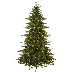 Star Trading Larvik with LED Weihnachtsbaum 210cm