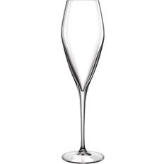 Luigi Bormioli Champagneglass Luigi Bormioli Prosecco Champagneglass 27cl 2st