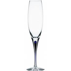 Champagne Glasses Orrefors Intermezzo Champagne Glass 26cl