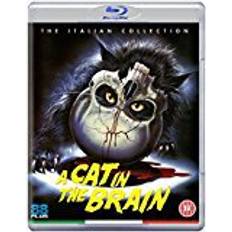 Filmer A Cat in the Brain (Blu-ray)