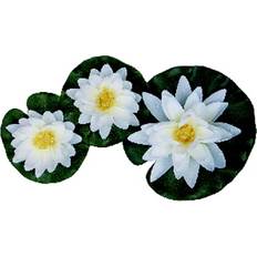 Hagedekor Pondteam Floating Water Lily (Set of 3)