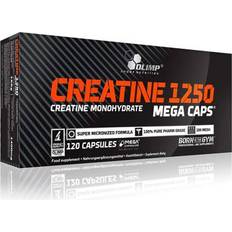 Kreatin Olimp Sports Nutrition Creatine 1250 Mega Caps 120 Stk.