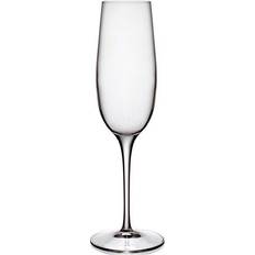 Luigi Bormioli Champagneglass Luigi Bormioli Palace Champagneglass 23.5cl 6st