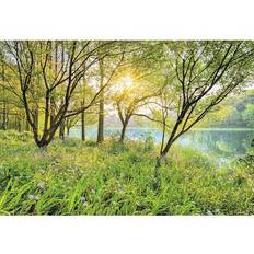 Digital Prints Wallpapers Komar Spring Lake (8-524)