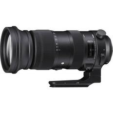 SIGMA 60-600mm F4.5-6.3 DG OS HSM | Sports for SIgma