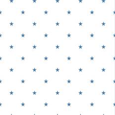 Duro Star 1900 (397-03)