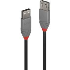 Lindy Anthra Line USB A-USB A 2.0 M-F 0.5m