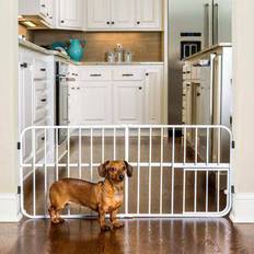 Carlson Lil Tuffy Expandable Gate