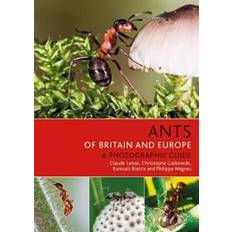 Ants of Britain and Europe (Heftet, 2019)