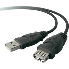 Belkin USB A - USB A 2.0 M-F 9.8ft