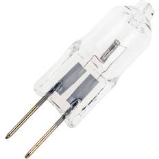 Hausmarke 870010 Halogen Lamps 10W G4