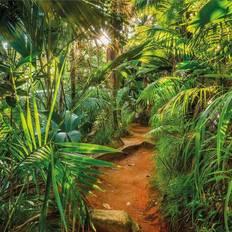 Fototapeten Komar Jungle Trail (8-989)