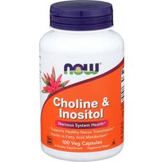 Now Foods Choline & Inositol 500mg 100 Stk.