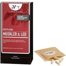 Nani Muskler & Led 30 st