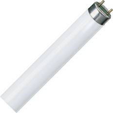 LEDVANCE L Fluorescent Lamp 36W G13 840-1