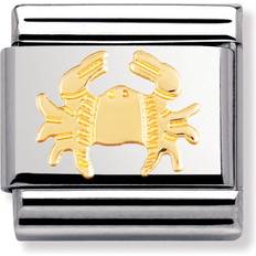 Dame - Gull Charms & Anheng Nomination Composable Classic Link Cancer Charm - Silver/Gold