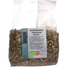 Biogan Pumpkin Seeds Salted/Roasted 250g