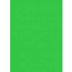 Colorama Colormatt Background 1x1.3m Spring Green