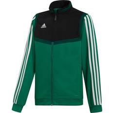 Adidas Tiro 19 Presentation Jacket - Bold Green/White (DW4790)