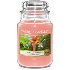 Parafin Duftlys Yankee Candle The Last Paradise Duftlys 623g