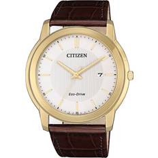 Citizen Eco-Drive (AW1212-10A)