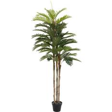 Europalms Kentia Palm Zierelement