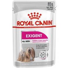 Royal Canin Hunder - VåtfÃ´r Husdyr Royal Canin Exigent Care