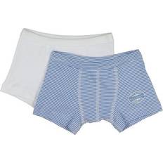 Petit Bateau Boy's Boxer Shorts 2-pack - Blue Pinstriped (A00O700040)