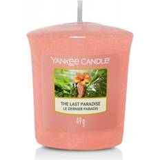 Yankee Candle The Last Paradise Votive Duftkerzen 49g