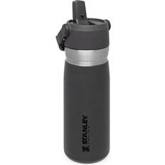 Stanley IceFlow Water Bottle 0.172gal